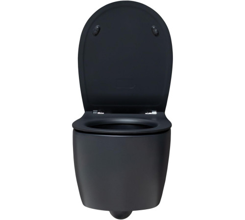 Чаша подвесного унитаза Allen Brau Fantasy 4.11004.31 черный матовый