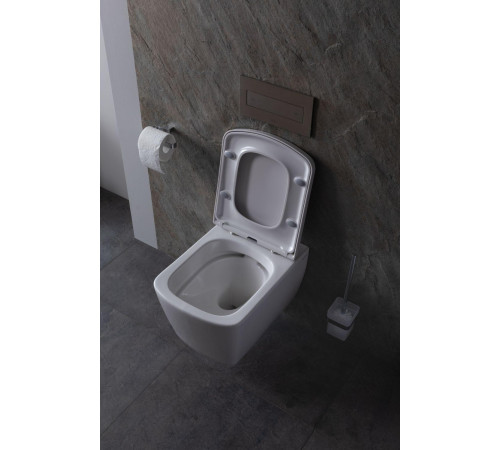 Крышка-сиденье для унитаза Allen Brau Liberty 4.33006.20 белый глянец