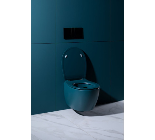 Крышка-сиденье для унитаза Allen Brau Fantasy Soft-Close 4.11005.PT петроль