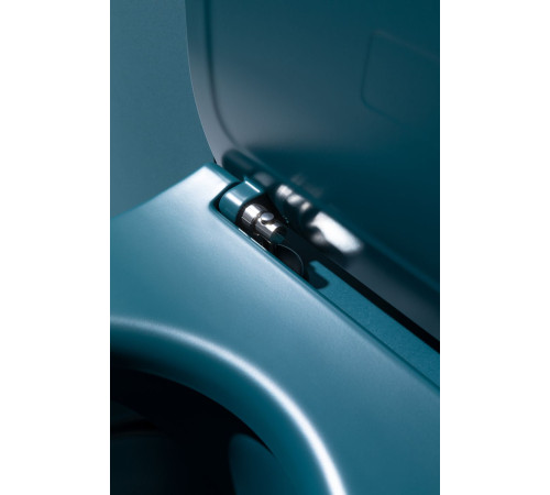 Чаша подвесного унитаза Allen Brau Fantasy 4.11004.PT петроль