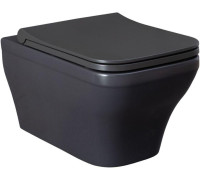 Чаша подвесного унитаза Allen Brau Infinity 4.21011.AN антрацит