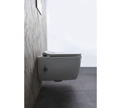 Чаша подвесного унитаза Allen Brau Liberty 4.33009.20 белый