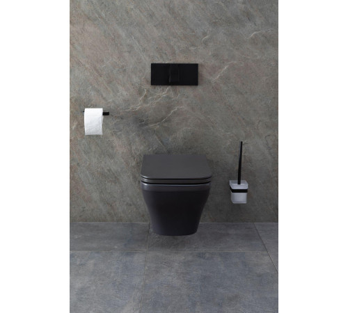 Чаша подвесного унитаза Allen Brau Infinity 4.21011.AN антрацит