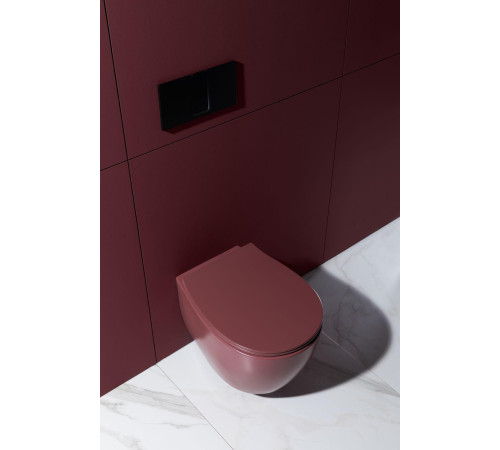 Чаша подвесного унитаза Allen Brau Fantasy 4.11004.BD бордо