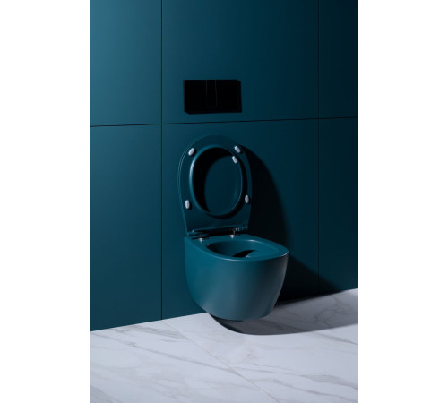 Чаша подвесного унитаза Allen Brau Fantasy 4.11004.PT петроль