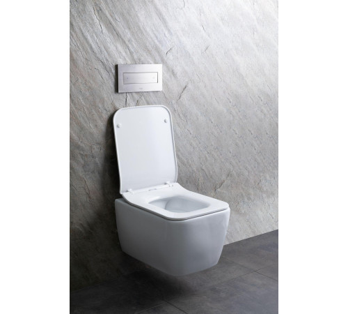 Чаша подвесного унитаза Allen Brau Liberty 4.33007.20 белый