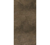 Керамогранит Про Стоун DD503920R Коричневый матовый 60х119.5