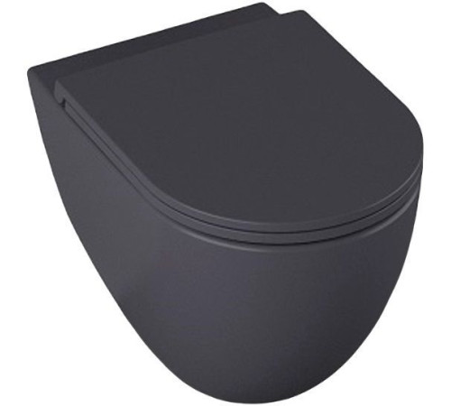Чаша подвесного унитаза Allen Brau Reality 4.32006.AN антрацит