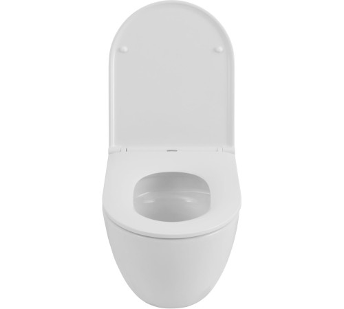 Чаша подвесного унитаза Allen Brau Priority Tornado 4.31008.20 белый глянец