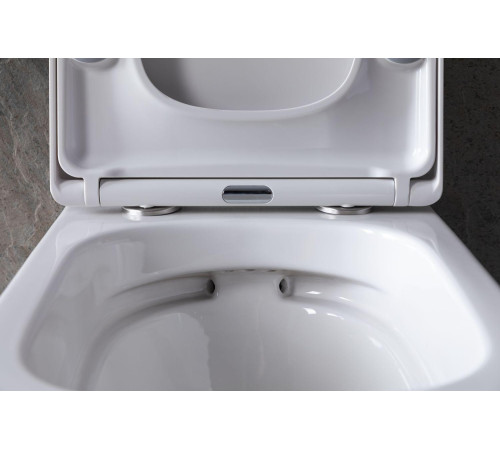 Крышка-сиденье для унитаза Allen Brau Liberty 4.33006.20 белый глянец