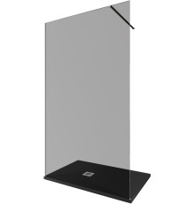 Душевая перегородка Allen Brau Infinity 1 120 3.21020.BA.T серебро браш