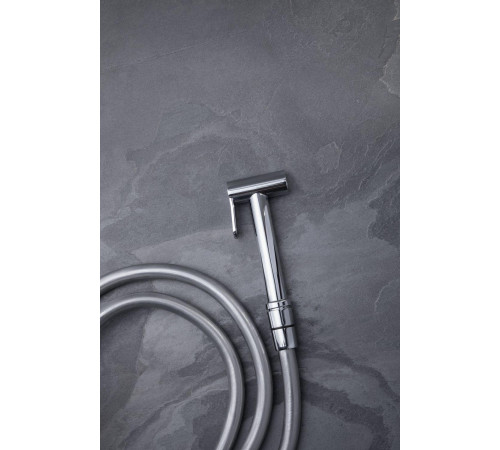 Гигиеническая лейка Allen Brau Priority 5.31028-00 хром