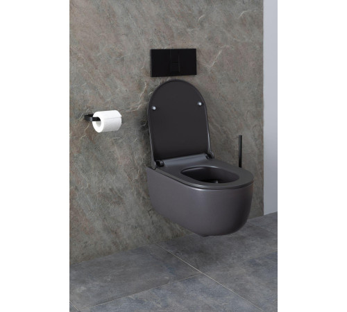 Чаша подвесного унитаза Allen Brau Priority 4.31002.AN антрацит