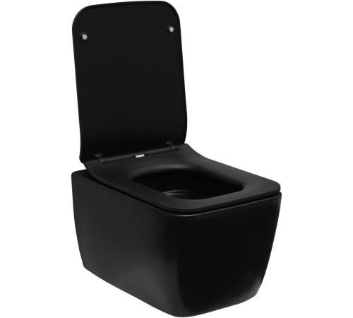 Чаша подвесного унитаза Allen Brau Liberty 4.33007.31 черный матовый