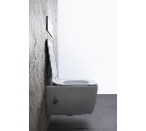 Чаша подвесного унитаза Allen Brau Liberty 4.33009.20 белый