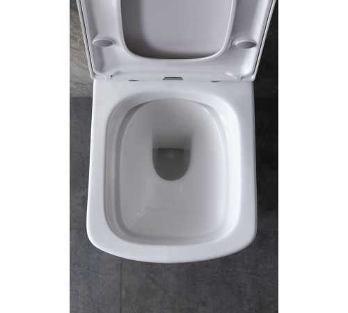 Чаша подвесного унитаза Allen Brau Liberty 4.33004.20 белый глянец