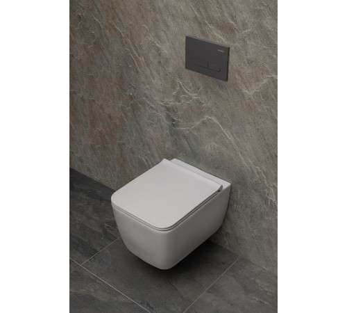 Клавиша смыва Allen Brau Project Color 9.2PR01.AN антрацит