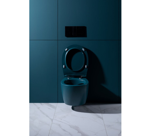 Чаша подвесного унитаза Allen Brau Fantasy 4.11004.PT петроль