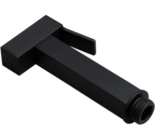 Гигиенический душ Allen Brau Infinity 5.21A05-31 черный матовый