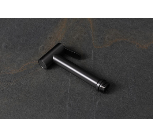 Гигиеническая лейка Allen Brau Priority 5.31028-MG графит браш