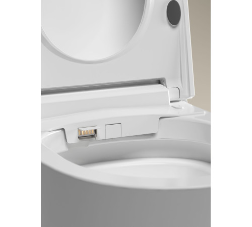 Унитаз подвесной Allen Brau Smart 4.I1001.20 белый, с функцией биде