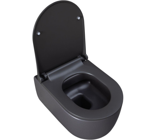 Чаша подвесного унитаза Allen Brau Priority 4.31002.AN антрацит