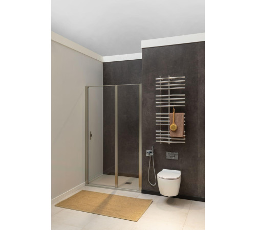 Душевая дверь Allen Brau Priority 120 3.31008.BA серебро браш