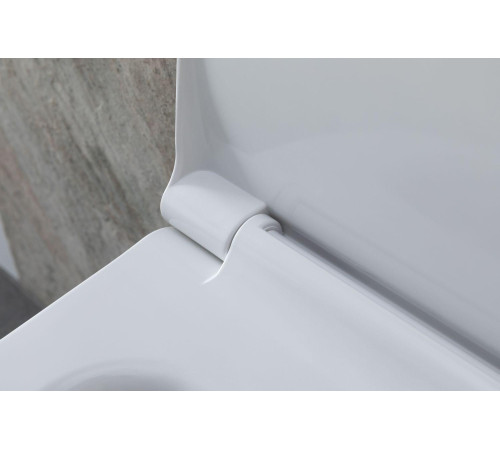 Чаша подвесного унитаза Allen Brau Priority 4.31002.20 белый глянец