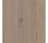 Керамогранит Альберони SG643820R Светло-коричневый матовый 60х60