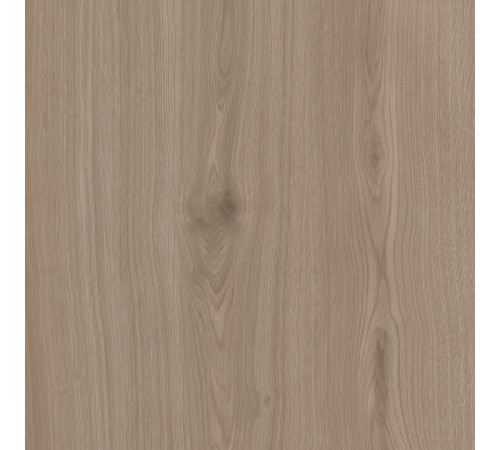 Керамогранит Альберони SG643820R Светло-коричневый матовый 60х60