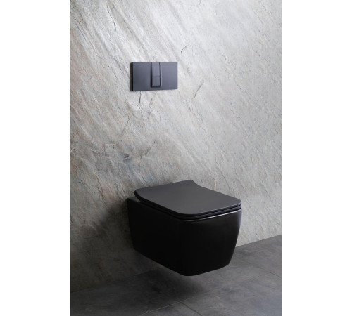 Чаша подвесного унитаза Allen Brau Liberty 4.33007.31 черный матовый