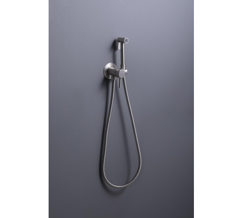 Смеситель с гигиеническим душем Allen Brau Priority 5.31A29-BN (с внутренней частью) никель браш