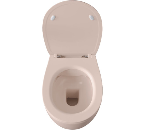 Чаша подвесного унитаза Allen Brau Fantasy 4.11004.SM розовый