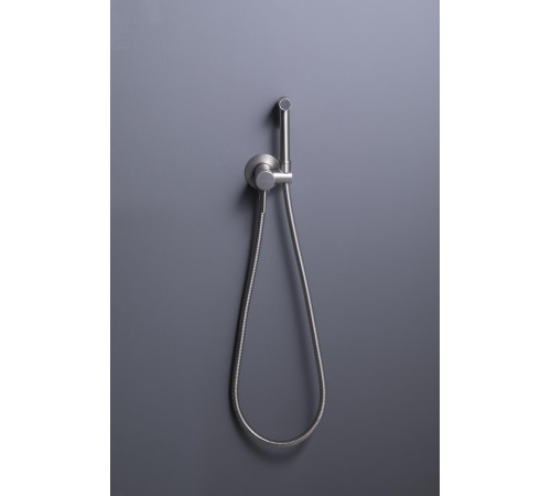 Смеситель с гигиеническим душем Allen Brau Priority 5.31A29-BN (с внутренней частью) никель браш