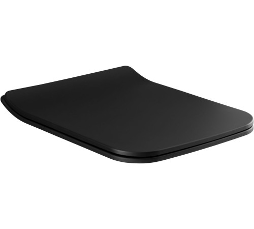 Сиденье для унитаза Allen Brau Liberty 4.33008.31 черный матовый
