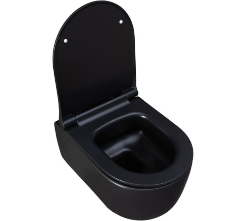 Чаша подвесного унитаза Allen Brau Priority 4.31002.31 черный матовый