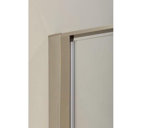 Душевая дверь Allen Brau Priority 140 3.31011.BA серебро браш