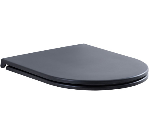 Сиденье для унитаза Aquanet Lake черный матовый