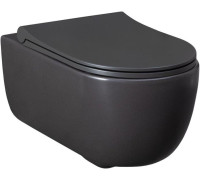 Чаша подвесного унитаза Allen Brau Priority 4.31001.AN антрацит