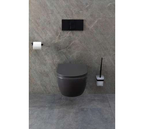 Чаша подвесного унитаза Allen Brau Priority 4.31001.AN антрацит