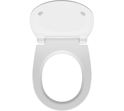 Сиденье для унитаза Allen Brau Fantasy 4.11005.21 белый матовый