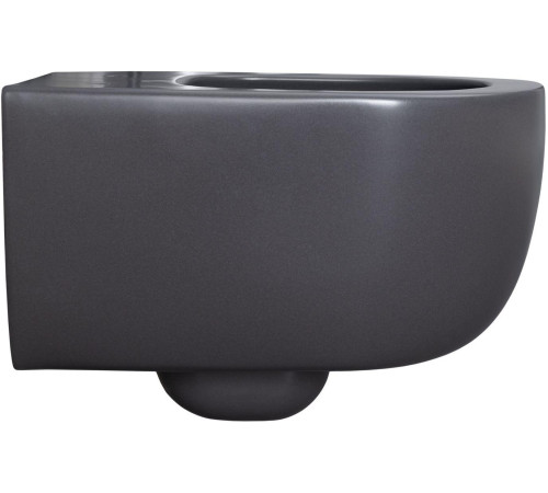 Чаша подвесного унитаза Allen Brau Priority 4.31002.AN антрацит