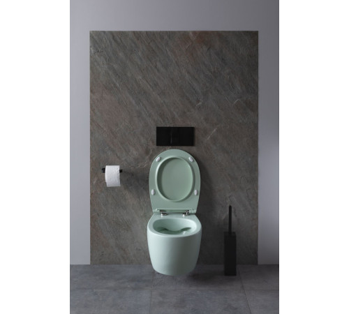 Чаша подвесного унитаза Allen Brau Fantasy 4.11004.MT мятный