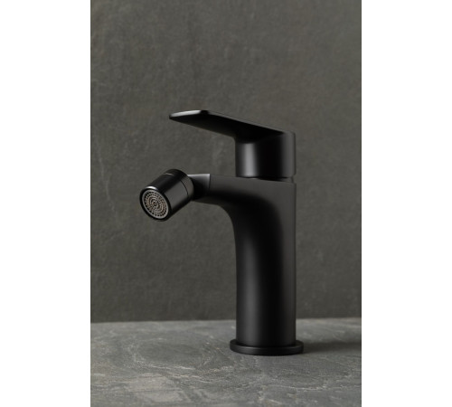 Смеситель для биде Allen Brau Eclipse 2.0 5.E1A10-31 черный матовый