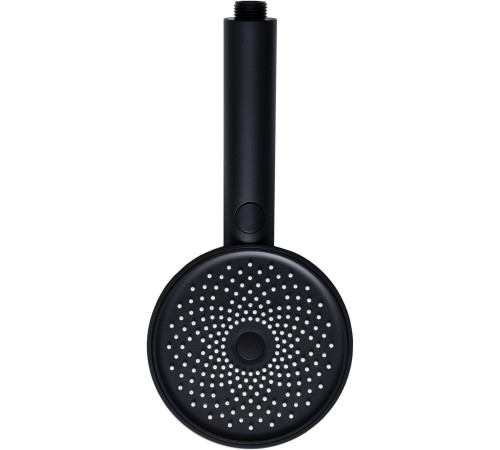 Душевая лейка Allen Brau Priority 5.31B20-31 черный матовый