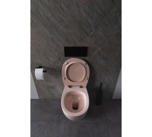 Чаша подвесного унитаза Allen Brau Fantasy 4.11004.SM розовый