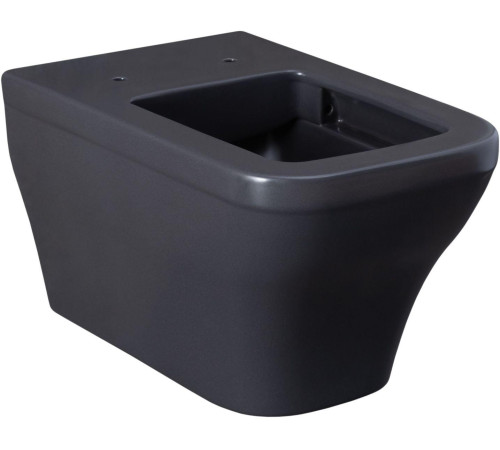 Чаша подвесного унитаза Allen Brau Infinity 4.21011.AN антрацит