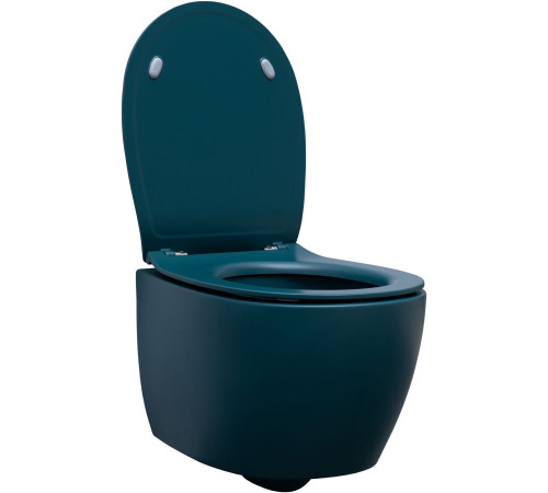 Чаша подвесного унитаза Allen Brau Fantasy 4.11004.PT петроль