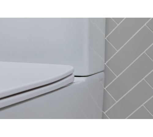 Чаша напольного унитаза Aquanet Rimless Tavr 2.0 C1 LX-2905