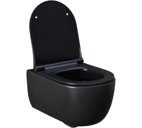 Чаша подвесного унитаза Allen Brau Priority 4.31001.31 черный матовый